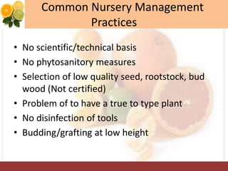 Common Nursery Management
Practices
• No scientific/technical basis
• No phytosanitory measures
• Selection of low quality seed, rootstock, bud
wood (Not certified)
• Problem of to have a true to type plant
• No disinfection of tools
• Budding/grafting at low height
 