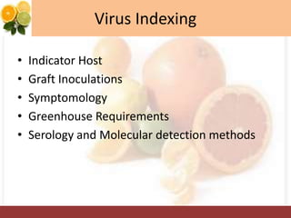 Virus Indexing
• Indicator Host
• Graft Inoculations
• Symptomology
• Greenhouse Requirements
• Serology and Molecular detection methods
 