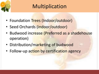 Multiplication
• Foundation Trees (Indoor/outdoor)
• Seed Orchards (indoor/outdoor)
• Budwood increase (Preferred as a shadehouse
operation)
• Distribution/marketing of budwood
• Follow-up action by certification agency
 