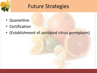 Future Strategies
• Quarantine
• Certification
• (Establishment of sanitated citrus germplasm)
 