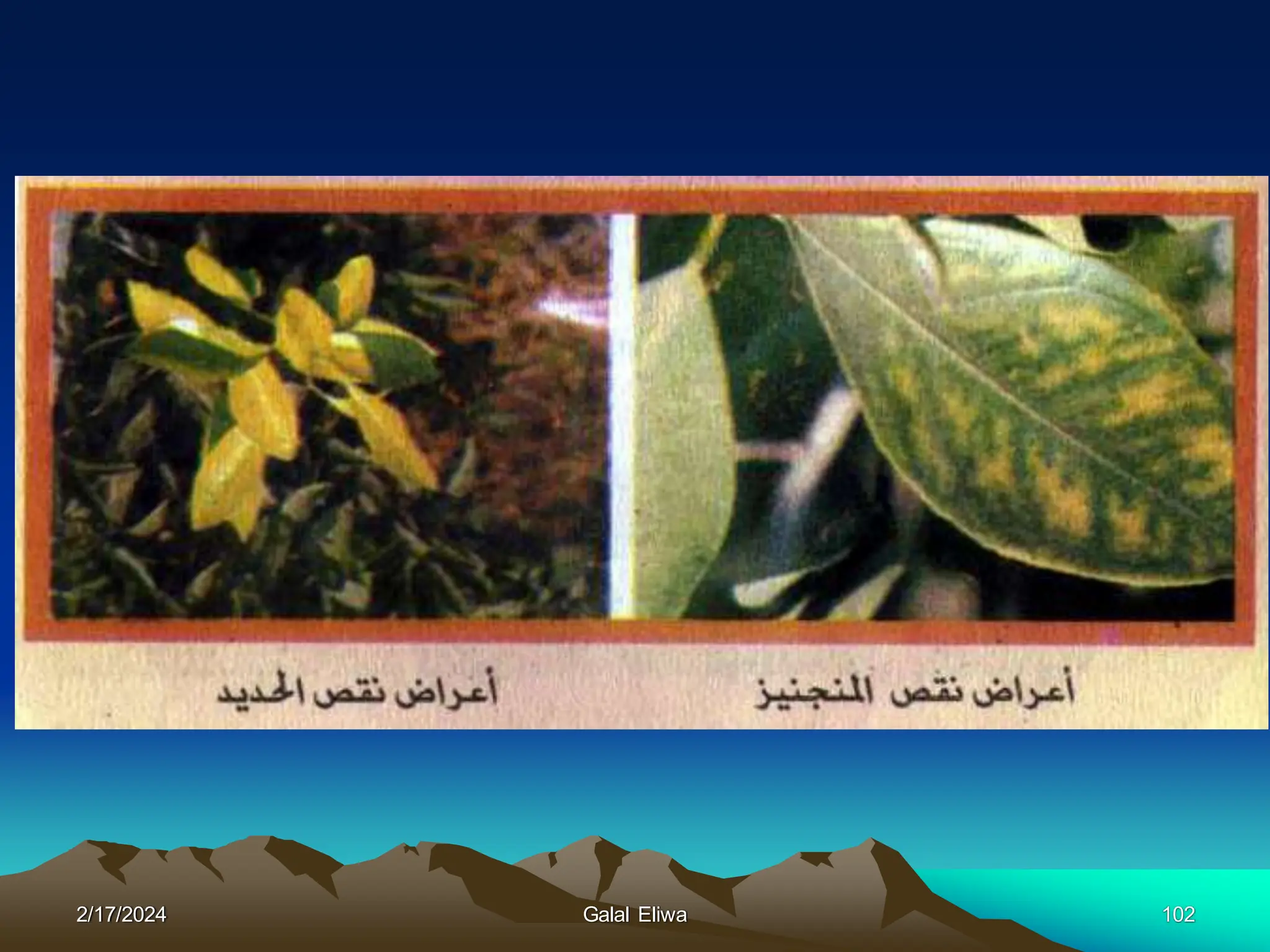 2/17/2024 Galal Eliwa 102
 