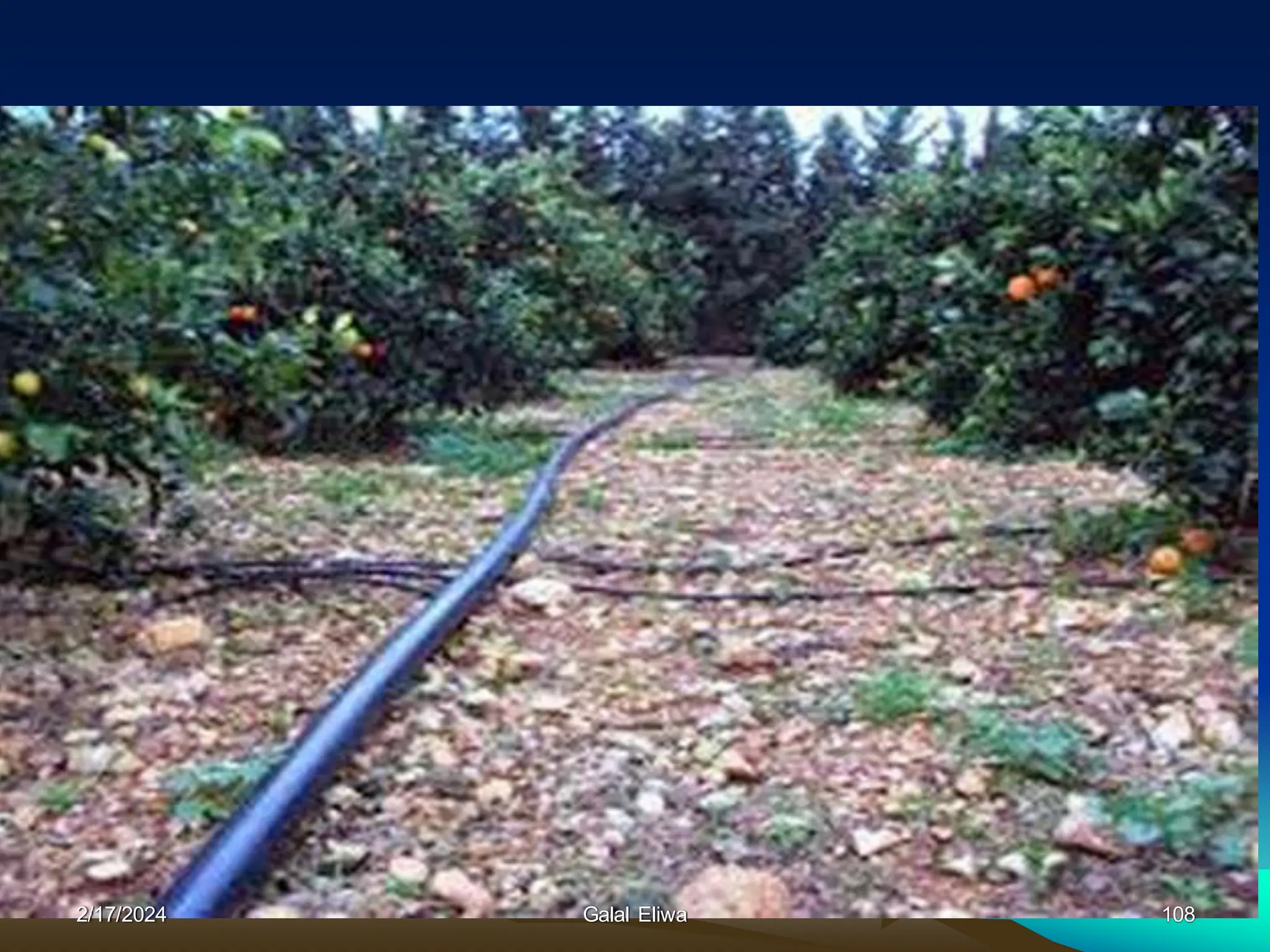 2/17/2024 Galal Eliwa 108
 