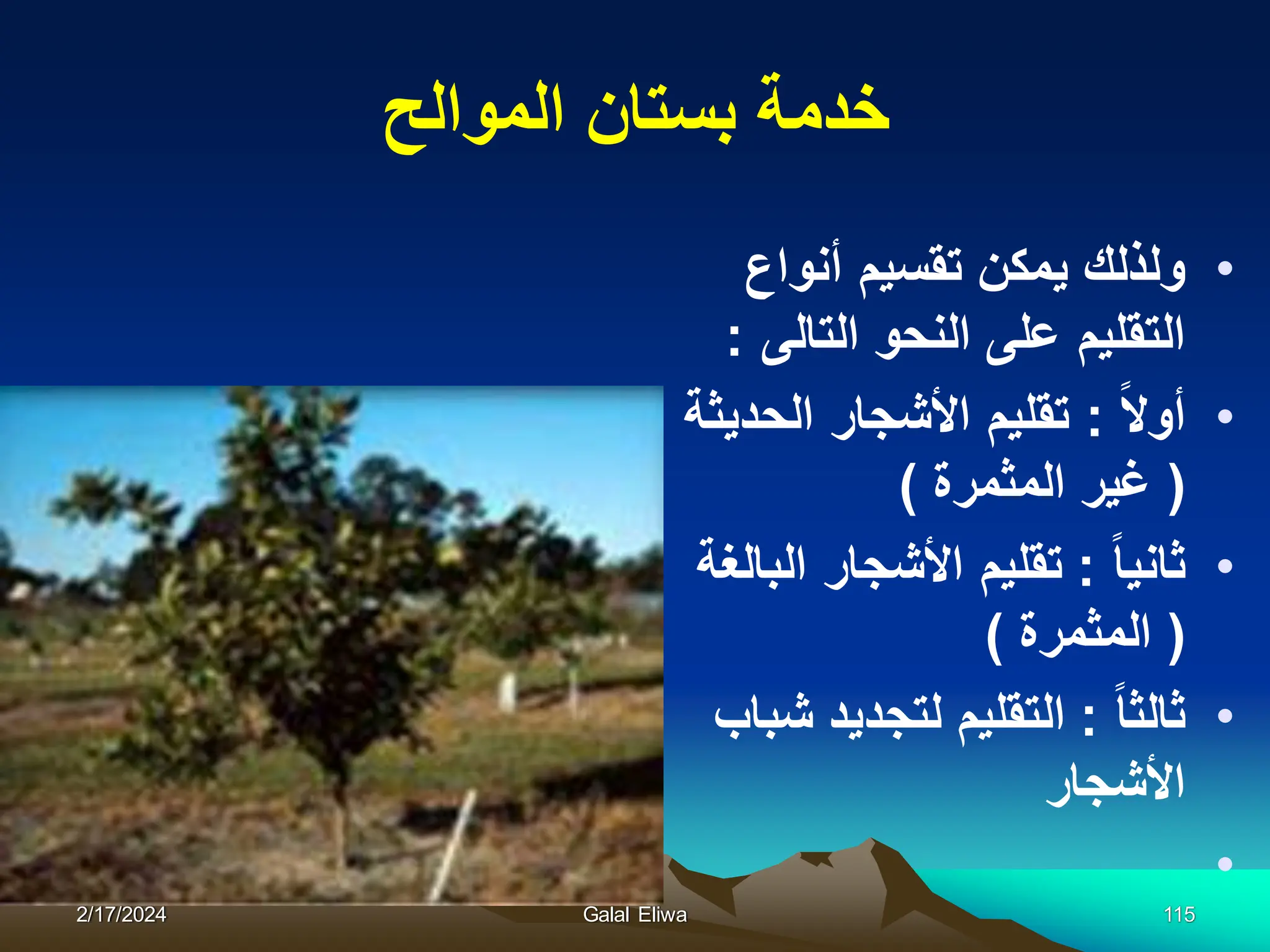 ‫الموالح‬ ‫بستان‬ ‫خدمة‬
•
‫أنواع‬ ‫تقسٌم‬ ‫ٌمكن‬ ‫ولذلك‬
‫التالى‬ ‫النحو‬ ‫على‬ ‫التقلٌم‬
:
•
‫أوال‬
:
‫الحدٌثة‬ ‫األشجار‬ ‫تقلٌم‬
(
‫المثمرة‬ ‫غٌر‬
)
•
‫ثانٌا‬
:
‫البالغة‬ ‫األشجار‬ ‫تقلٌم‬
(
‫المثمرة‬
)
•
‫ثالثا‬
:
‫شباب‬ ‫لتجدٌد‬ ‫التقلٌم‬
‫األشجار‬
•
2/17/2024 Galal Eliwa 115
 