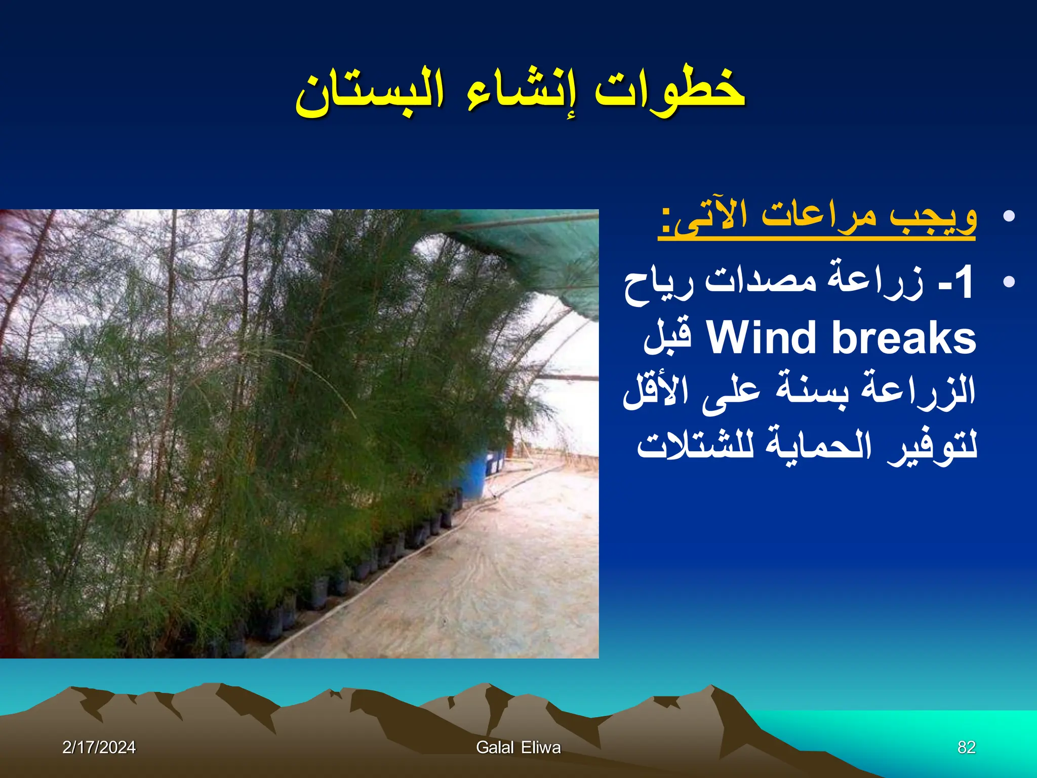 ‫البستان‬ ‫إنشاء‬ ‫خطوات‬
•
‫اآلتى‬ ‫مراعات‬ ‫وٌجب‬
:
•
1
-
‫رٌاح‬ ‫مصدات‬ ‫زراعة‬
Wind breaks
‫قبل‬
‫األقل‬ ‫على‬ ‫بسنة‬ ‫الزراعة‬
‫للشتالت‬ ‫الحماٌة‬ ‫لتوفٌر‬
2/17/2024 Galal Eliwa 82
 