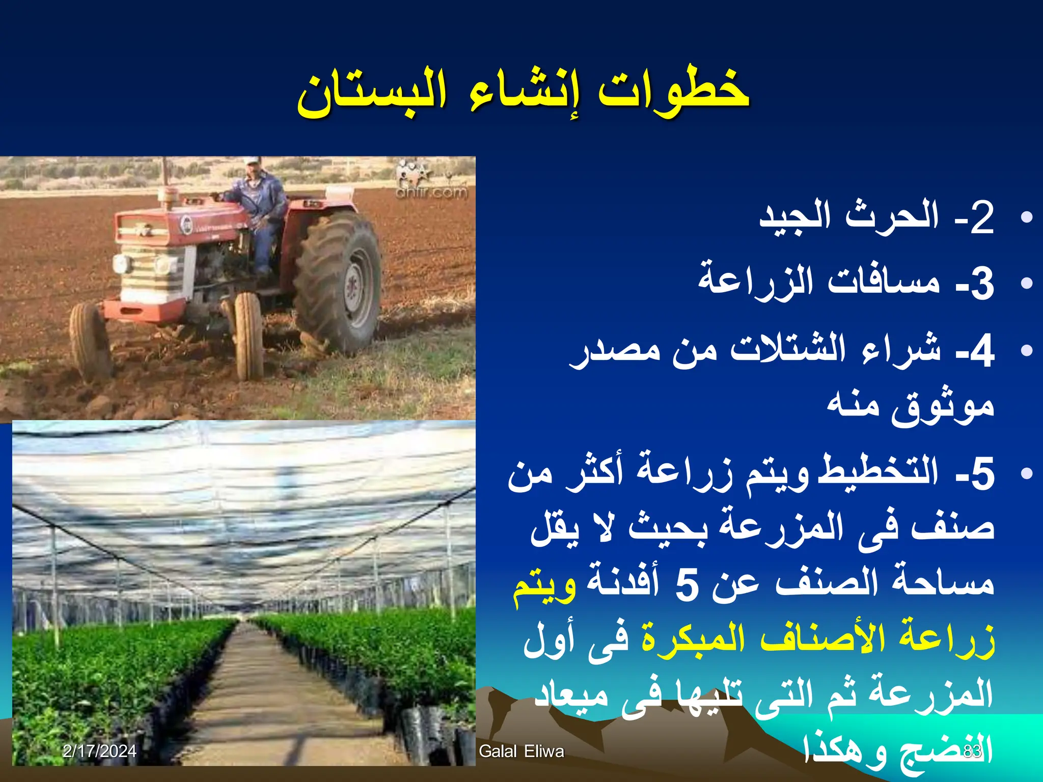 ‫البستان‬ ‫إنشاء‬ ‫خطوات‬
•
2
-
‫الجٌد‬ ‫الحرث‬
•
3
-
‫الزراعة‬ ‫مسافات‬
•
4
-
‫مصدر‬ ‫من‬ ‫الشتالت‬ ‫شراء‬
‫منه‬ ‫موثوق‬
•
5
-
‫من‬ ‫أكثر‬ ‫زراعة‬ ‫وٌتم‬ ‫التخطٌط‬
‫ٌقل‬ ‫ال‬ ‫بحٌث‬ ‫المزرعة‬ ‫فى‬ ‫صنف‬
‫عن‬ ‫الصنف‬ ‫مساحة‬
5
‫أفدنة‬
‫وٌتم‬
‫المبكرة‬ ‫األصناف‬ ‫زراعة‬
‫أول‬ ‫فى‬
‫مٌعاد‬ ‫فى‬ ‫تلٌها‬ ‫التى‬ ‫ثم‬ ‫المزرعة‬
‫وهكذا‬ ‫النضج‬
2/17/2024 Galal Eliwa 83
 