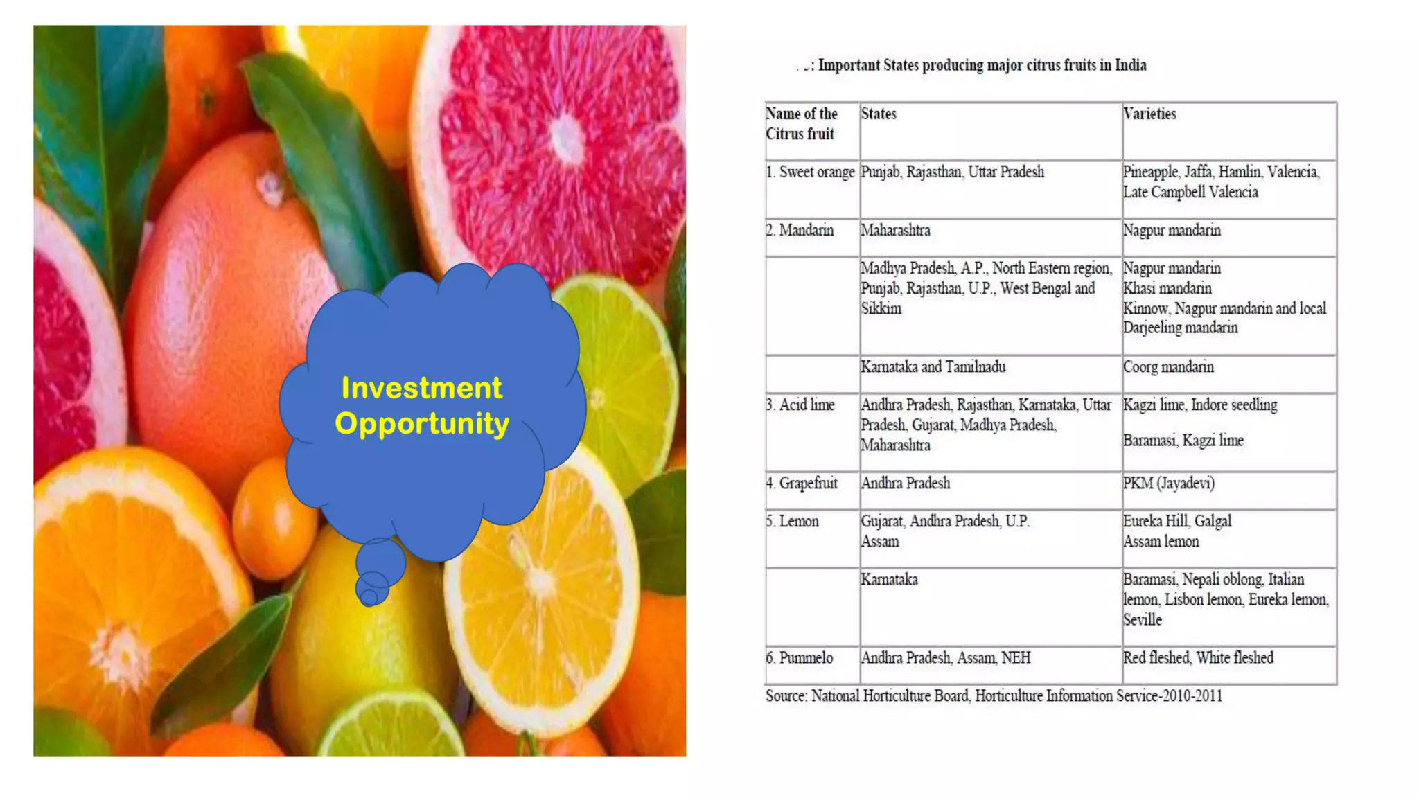 Citrus fruits Investment Opportunities PPT