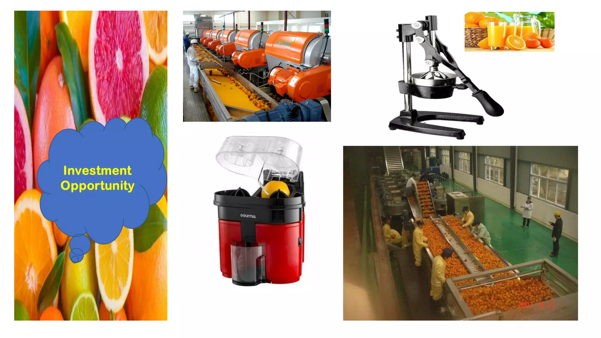 Citrus fruits Investment Opportunities PPT