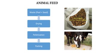 ANIMAL FEED
Waste (Peel + Seed)
Drying
Pelletization
Packing
 