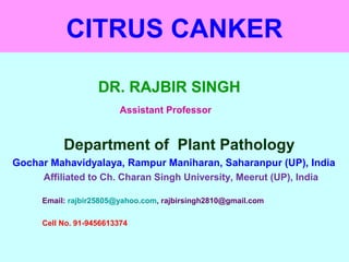 CITRUS CANKER
DR. RAJBIR SINGH
Assistant Professor
Department of Plant Pathology
Gochar Mahavidyalaya, Rampur Maniharan, Saharanpur (UP), India
Affiliated to Ch. Charan Singh University, Meerut (UP), India
Email: rajbir25805@yahoo.com, rajbirsingh2810@gmail.com
Cell No. 91-9456613374
 