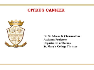 CITRUS CANKER
Dr. Sr. Meena K Cheruvathur
Assistant Professor
Department of Botany
St. Mary’s College Thrissur
 