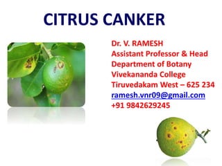 CITRUS CANKER
Dr. V. RAMESH
Assistant Professor & Head
Department of Botany
Vivekananda College
Tiruvedakam West – 625 234
ramesh.vnr09@gmail.com
+91 9842629245
 