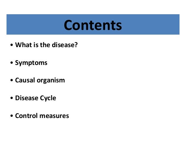 Citrus canker disease diagram