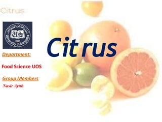 Citrus
Nasir Ayub
Group Members
Department:
Food Science UOS
 