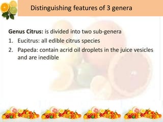 citrus Nasir Ayub Group.pdf