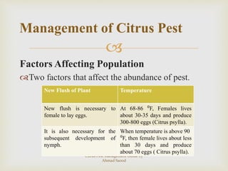 Citrus pest management guide