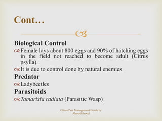 Citrus pest management guide