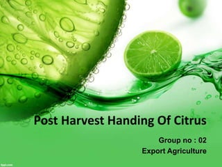 Post Harvest Handing Of Citrus 
Group no : 02 
Export Agriculture 
 