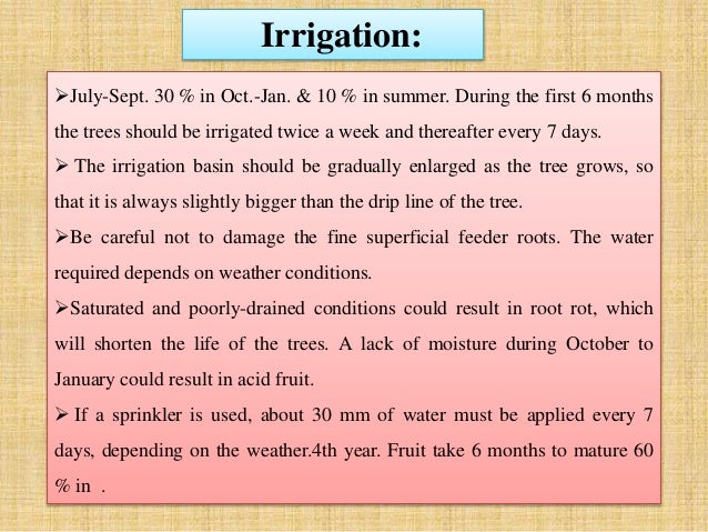 months of the year ppt