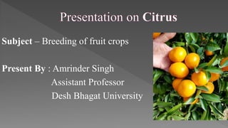 Subject – Breeding of fruit crops
Present By : Amrinder Singh
Assistant Professor
Desh Bhagat University
 