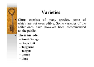 • Citrus consists of many species, some of
which are not even edible. Some varieties of the
edible ones have however been recommended
to the public.
• These include:
– Sweet Orange
– Grapefruit
– Tangerine
– Tangelo
– Lemon
– Lime
Varieties
 