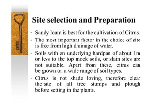 Site selection and Preparation
• Sandy loam is best for the cultivation of Citrus.
• The most important factor in the choice of site
is free from high drainage of water.
• Soils with an underlying hardpan of about 1m
or less to the top mock soils, or slain sites are
not suitable. Apart from these, citrus can
be grown on a wide range of soil types.
• Citrus is not shade loving, therefore clear
the site of all tree stumps and plough
before setting in the plants.
 