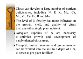  Citrus can develop a large number of nutrient
deficiencies, including N, P, K, Mg, Ca,
Mn, Zn, Cu, Fe, B and Mo.
 The level of N fertility has more influence on
the growth, yield, and quality of citrus
than any other single plant nutrient.
 Adequate supplies of N are necessary
to optimize growth and development of
newly planted citrus trees.
 Compost, animal manure and green manure
can be worked into the soil to a depth of 1 m,
to serve as pre plant fertilizer.
 