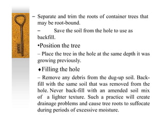 – Separate and trim the roots of container trees that
may be root-bound.
– Save the soil from the hole to use as
backfill.
•Position the tree
– Place the tree in the hole at the same depth it was
growing previously.
Filling the hole
– Remove any debris from the dug-up soil. Back-
fill with the same soil that was removed from the
hole. Never back-fill with an amended soil mix
of a lighter texture. Such a practice will create
drainage problems and cause tree roots to suffocate
during periods of excessive moisture.
 