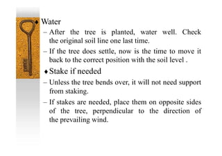  Water
– After the tree is planted, water well. Check
the original soil line one last time.
– If the tree does settle, now is the time to move it
back to the correct position with the soil level .
Stake if needed
– Unless the tree bends over, it will not need support
from staking.
– If stakes are needed, place them on opposite sides
of the tree, perpendicular to the direction of
the prevailing wind.
 