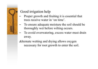 –
– Proper growth and fruiting it is essential that
trees receive water in ‘on time’.
– To ensure adequate moisture the soil should be
thoroughly wet before wilting occurs.
– To avoid overwatering, excess water must drain
away.
Alternate wetting and drying allows oxygen
necessary for root growth to enter the soil.
 Good irrigation help
 