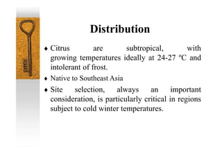 Distribution
 Citrus are subtropical, with
growing temperatures ideally at 24-27 ºC and
intolerant of frost.
 Native to Southeast Asia
 Site selection, always an important
consideration, is particularly critical in regions
subject to cold winter temperatures.
 