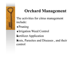 The activities for citrus management
include:
Pruning
Irrigation Weed Control
Fertilizer Application
Pests, Parasites and Diseases , and their
control
Orchard Management
 