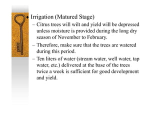  Irrigation (Matured Stage)
– Citrus trees will wilt and yield will be depressed
unless moisture is provided during the long dry
season of November to February.
– Therefore, make sure that the trees are watered
during this period.
– Ten liters of water (stream water, well water, tap
water, etc.) delivered at the base of the trees
twice a week is sufficient for good development
and yield.
 