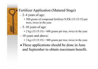  Fertilizer Application (Matured Stage)
– 2–4 years of age:
• 500 grams of compound fertilizer N.P.K (15:15:15) per
trees, twice in the year.
– 5–10 years of age:
• 2 kg (15:15:15) + 600 grams per tree, twice in the year.
– 10 years and above:
• 3 kg (15:15:15) + 800 grams per tree, twice in the year.
These applications should be done in June
and September to obtain maximum benefit.
 