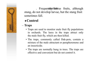 – weather
. Frequently citrus fruits, although
stung, do not develop larvae, but the stung fruit
sometimes fall.
Control
– Traps
• Traps are used to monitor male fruit fly populations
in orchards. The lures in the traps attract only
the male fruit fly, which are then killed.
• The traps, commonly called Dak-pots, contain a
mixture of the male attractant or parapheremone and
an insecticide.
• The traps are normally hung in trees. The traps are
effective and convenient but do not control it.
 