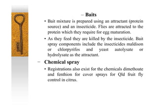 • Bait mixture is prepared using an attractant (protein
source) and an insecticide. Flies are attracted to the
protein which they require for egg maturation.
• As they feed they are killed by the insecticide. Bait
spray components include the insecticides maldison
or chlorpyrifos and yeast autolysate or
hydrolysate as the attractant.
Chemical spray
• Registrations also exist for the chemicals dimethoate
and fenthion for cover sprays for Qld fruit fly
control in citrus.
– Baits
 