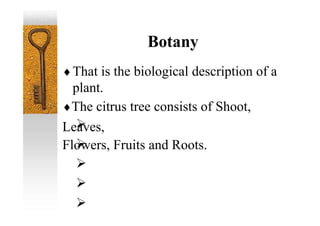 That is the biological description of a
plant.
The citrus tree consists of Shoot,
Leaves,
Flowers, Fruits and Roots.
Botany
 