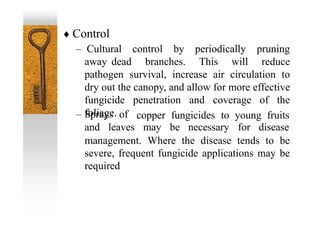  Control
– Cultural control by periodically pruning
away dead branches. This will reduce
pathogen survival, increase air circulation to
dry out the canopy, and allow for more effective
fungicide penetration and coverage of the
foliage.
– Sprays of
and leaves may be necessary for disease
copper fungicides to young fruits
management. Where the disease tends to be
severe, frequent fungicide applications may be
required
 