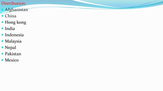 Distribution:
 Afghanistan
 China
 Hong kong
 India
 Indonesia
 Malaysia
 Nepal
 Pakistan
 Mexico
 