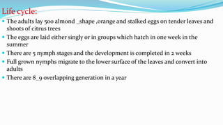 Life cycle:
 The adults lay 500 almond _shape ,orange and stalked eggs on tender leaves and
shoots of citrus trees
 The eggs are laid either singly or in groups which hatch in one week in the
summer
 There are 5 nymph stages and the development is completed in 2 weeks
 Full grown nymphs migrate to the lower surface of the leaves and convert into
adults
 There are 8_9 overlapping generation in a year
 