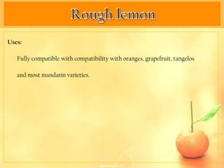 Uses:

   Fully compatible with compatibility with oranges, grapefruit, tangelos

   and most mandarin varieties.
 