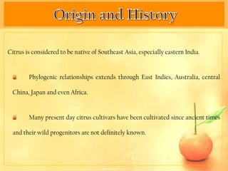 Citrus is considered to be native of Southeast Asia, especially eastern India.


        Phylogenic relationships extends through East Indies, Australia, central

  China, Japan and even Africa.


        Many present day citrus cultivars have been cultivated since ancient times

  and their wild progenitors are not definitely known.
 