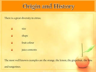 There is a great diversity in citrus;


                  size

                  shape

                  fruit colour

                  juice contents


The most well known examples are the orange, the lemon, the grapefruit, the lime

and tangerines.
 