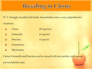 W. T. Swingle classified sub family Aurantioideae into a very comprehensive

treatment.

        Citrus                    (16 species)

        Fortunella                (4 specie)

        Poncirus                  (1 specie)

        Eremocitrus

        Microcitrus

Citrus, Fortunella and Poncirus can be crossed with one another, and various

proven hybrids exist.
 
