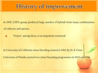 In 1908, USDA group produced large number of hybrids from many combinations

of cultivars and species.

         ‘Troyer’, among these, is an important rootstock




In University of California citrus breeding started in 1914, by H. B. Frost.

University of Florida started two citrus breeding programmes in 1924 and 1956.
 
