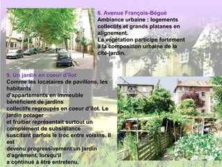 6. Avenue François-Bégué
Ambiance urbaine : logements
collectifs et grands platanes en
alignement.
La végétation participe fortement
à la composition urbaine de la
cité-jardin.
9. Un jardin en coeur d’îlot
Comme les locataires de pavillons, lesComme les locataires de pavillons, les
habitantshabitants
d’appartements en immeubled’appartements en immeuble
bénéficient de jardinsbénéficient de jardins
collectifs regroupés en coeur d’îlot. Lecollectifs regroupés en coeur d’îlot. Le
jardin potagerjardin potager
et fruitier représentait surtout unet fruitier représentait surtout un
complément de subsistancecomplément de subsistance
suscitant parfois le troc entre voisins. Ilsuscitant parfois le troc entre voisins. Il
estest
devenu progressivement un jardindevenu progressivement un jardin
d’agrément, lorsqu’ild’agrément, lorsqu’il
a continué à être entretenu.a continué à être entretenu.
 
