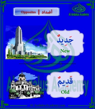 Al-AndalusAcademy.com
ٌ‫يد‬ِ‫د‬َ‫ج‬
New
ٌ‫يم‬ِ‫د‬َ‫ق‬
Old
Opposites
Opposites ‫أضداد‬
‫أضداد‬
|
|
 