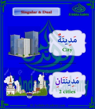Al-AndalusAcademy.com
ٌ‫ة‬َ‫ن‬‫ي‬ِ‫د‬َ‫م‬
City
ِ‫ان‬َ‫ت‬َ‫ن‬‫ي‬ِ‫د‬َ‫م‬
2 cities
Singular & Dual
Singular & Dual
 