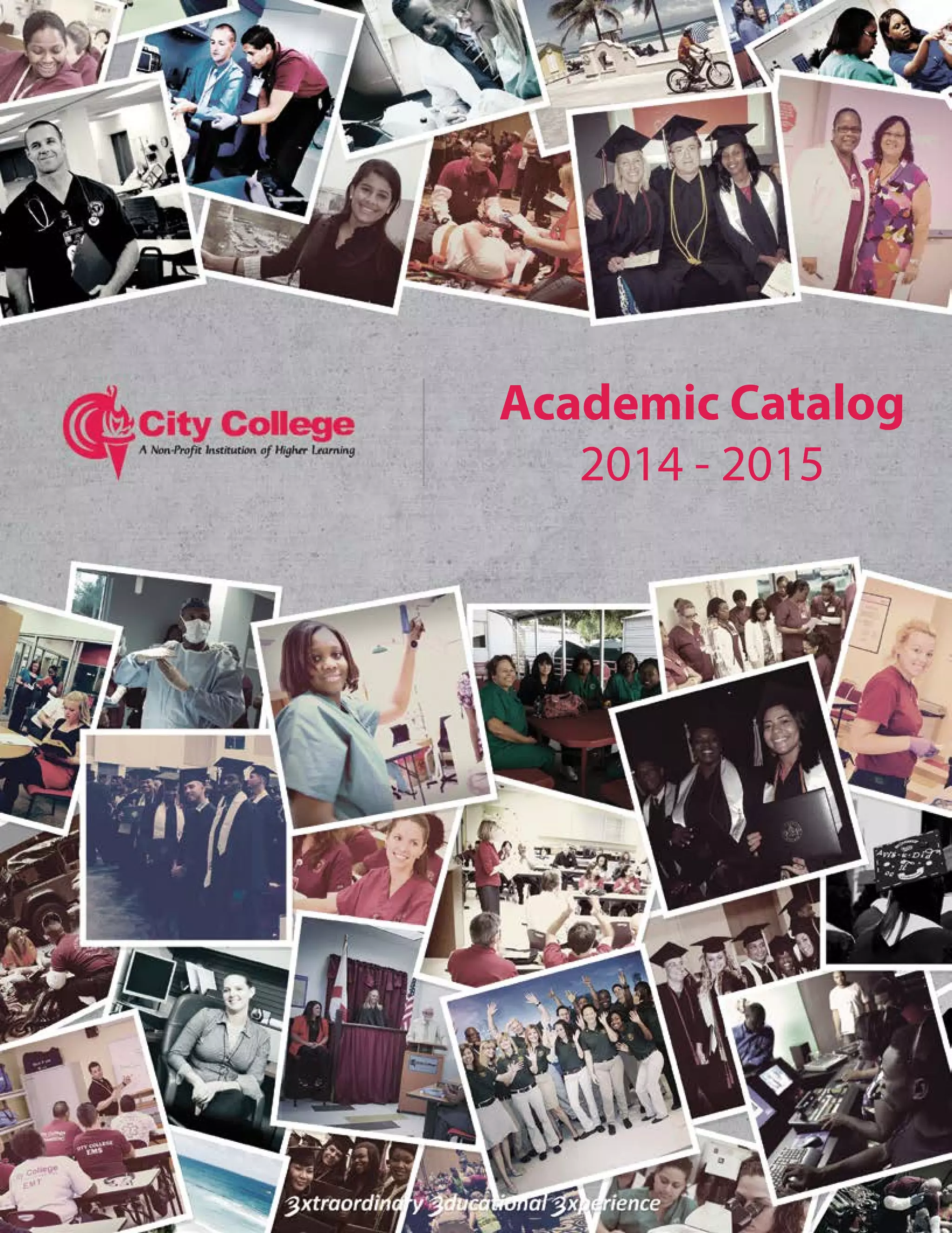 City College Academic Catalog 2014 2015 PDF College Education