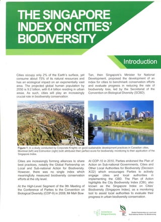 City biodiversity index summary
