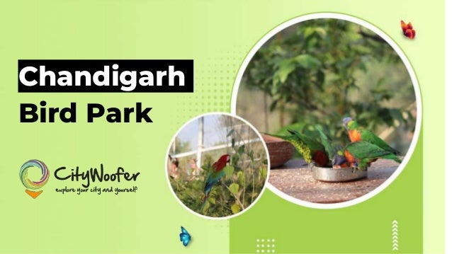 Chandigarh
Bird Park
 